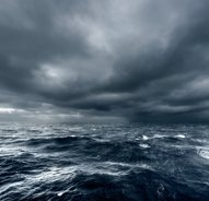 Miracle moment 'whale watcher' is found after 67 days at sea... alongside the bodies of his brother and nephew