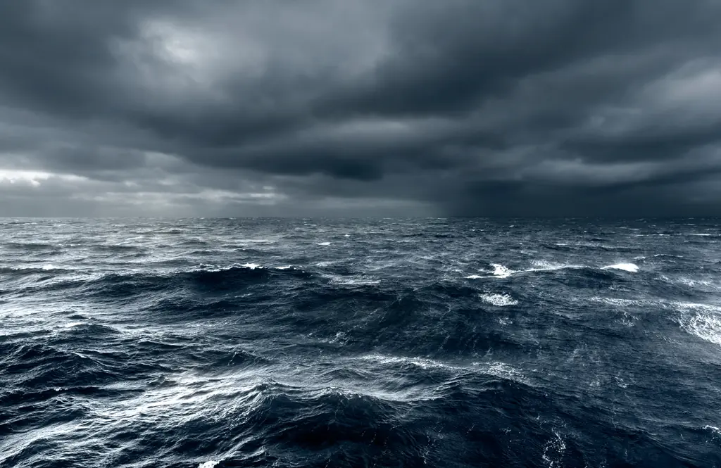 Miracle moment 'whale watcher' is found after 67 days at sea... alongside the bodies of his brother and nephew