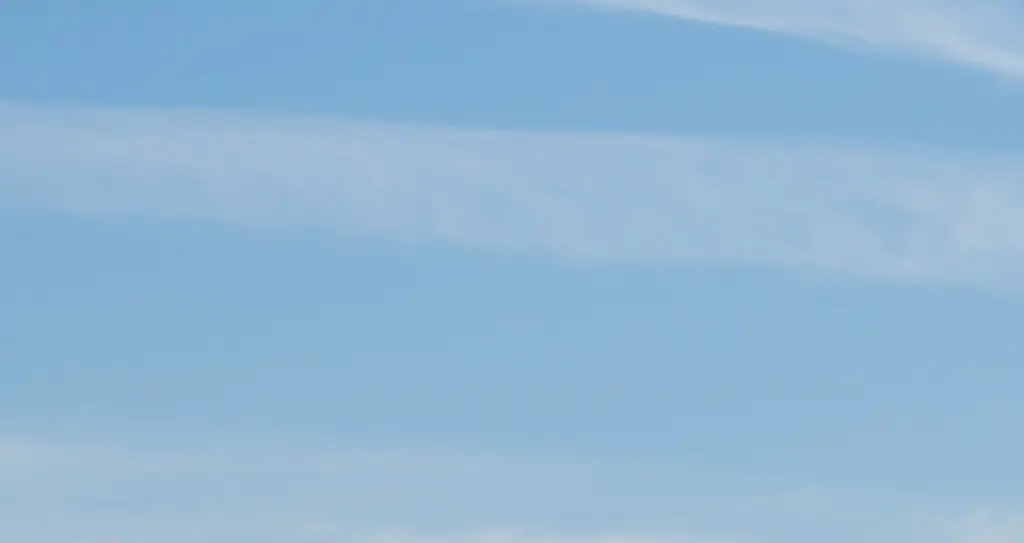 United Airlines passenger praised for savage comeback when woman refused to move after sitting in his seat