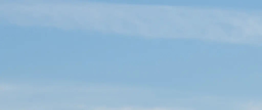 Plane passenger left furious after being forced to move so enormous dog could take his seat