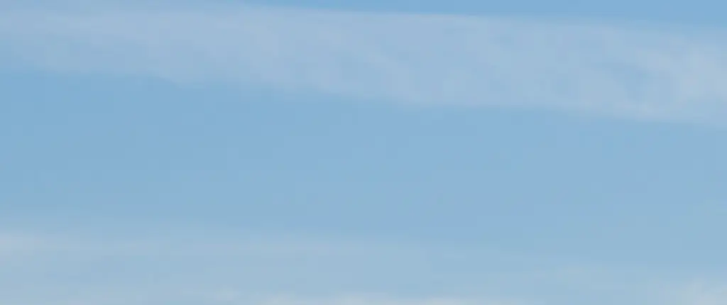 Plane passenger left furious after being forced to move so enormous dog could take his seat