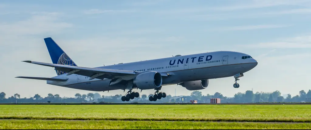 Plane passenger left furious after being forced to move so enormous dog could take his seat
