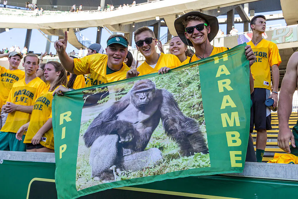 The incident sparked global outrage. Credit: Icon Sportswire / Getty