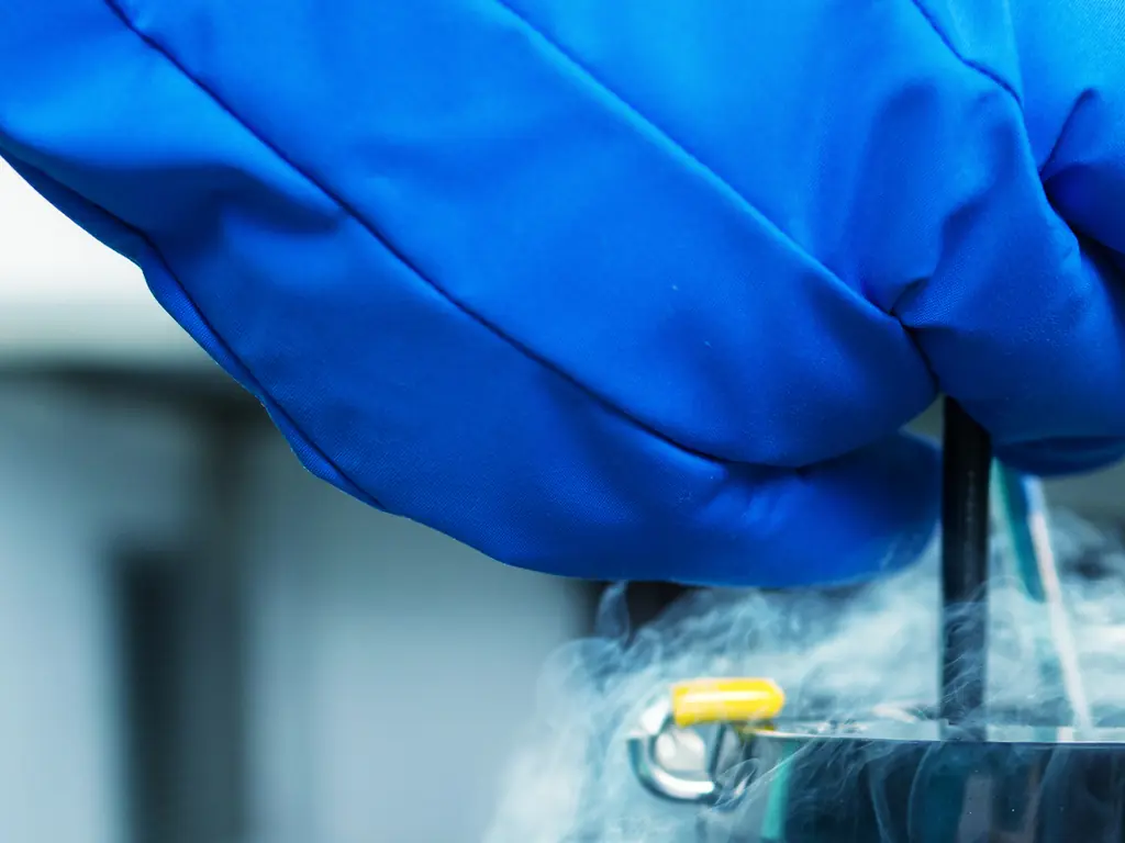 Chilling simulation shows what would happen to your body if you fell into liquid nitrogen