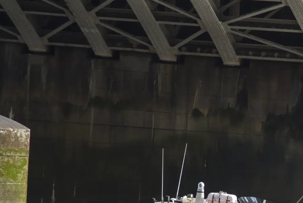 Police has revealed that Coa did not drown in the River Thames. Credit: Howard Pugh (Marais) / Getty