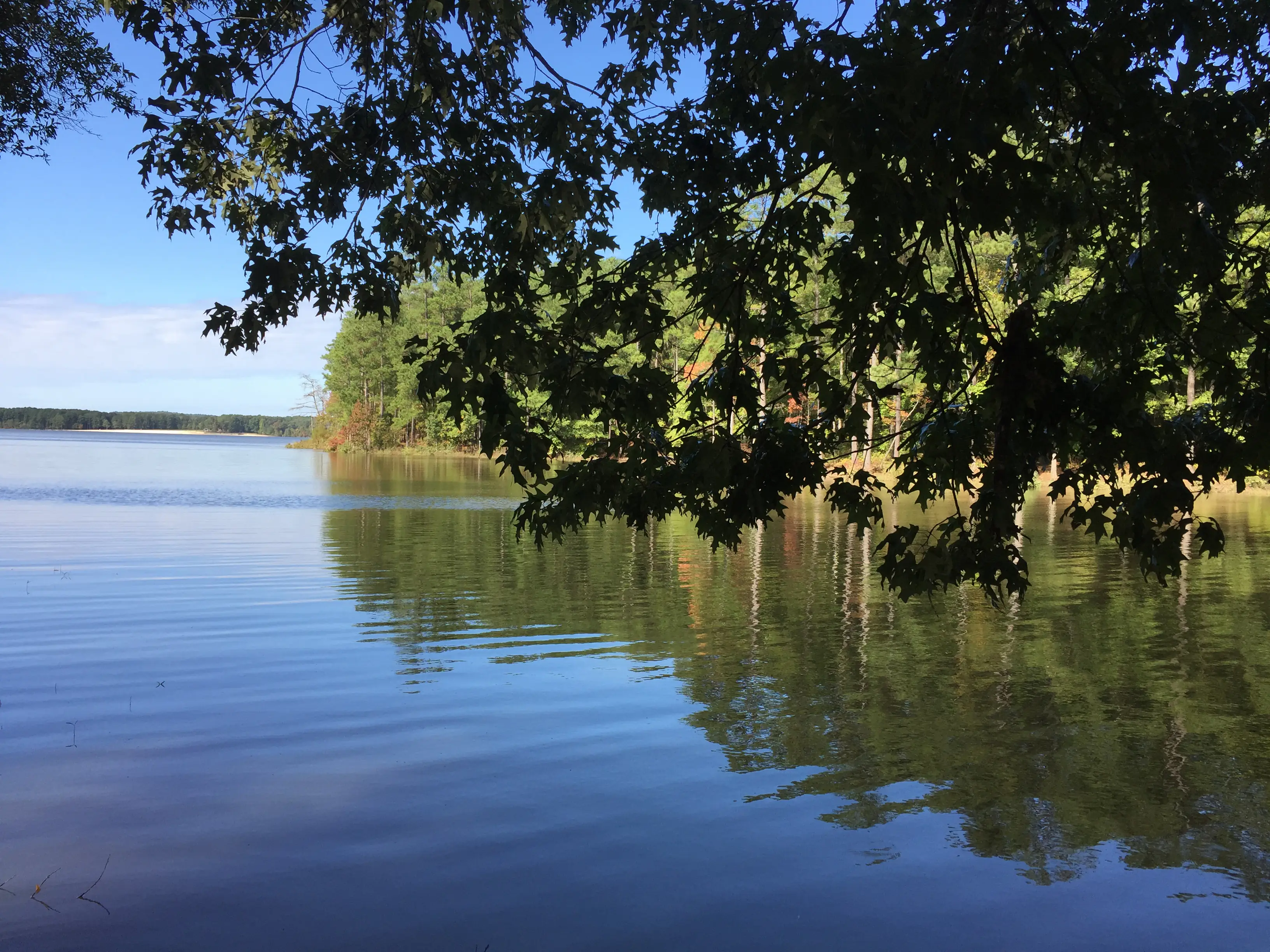 Woman found dead in Georgia lake took haunting final photos before she died