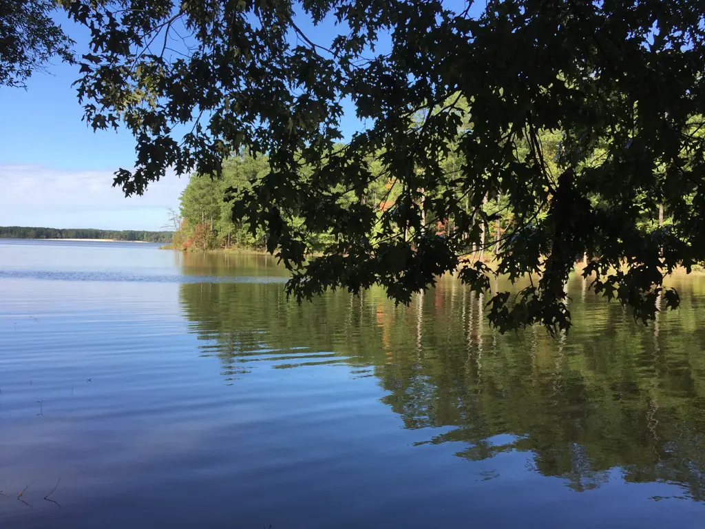 Woman found dead in Georgia lake took haunting final photos before she died