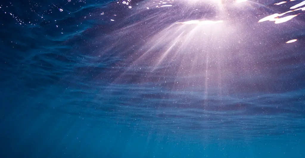 Man who lived underwater for 100 days reveals the bizarre effect it had on his body