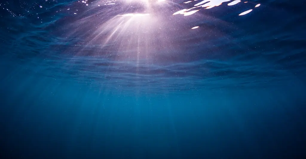 Man who lived underwater for 100 days reveals the bizarre effect it had on his body