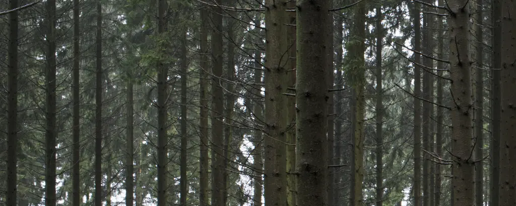 Authorities share thoughts about what may have happened to toddler's body before his remains were found