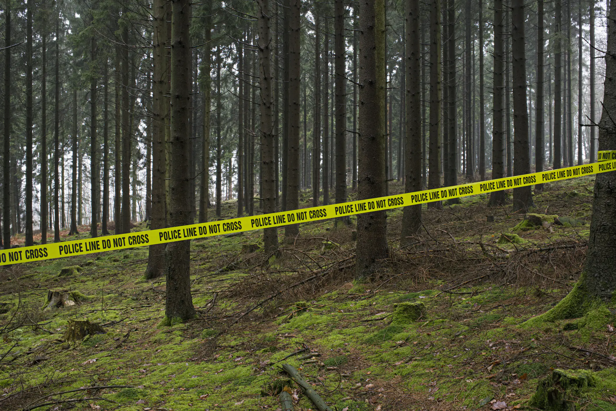 Police issue statement amid growing fears of 'New England Serial Killer' as 12th body is found in 4 months