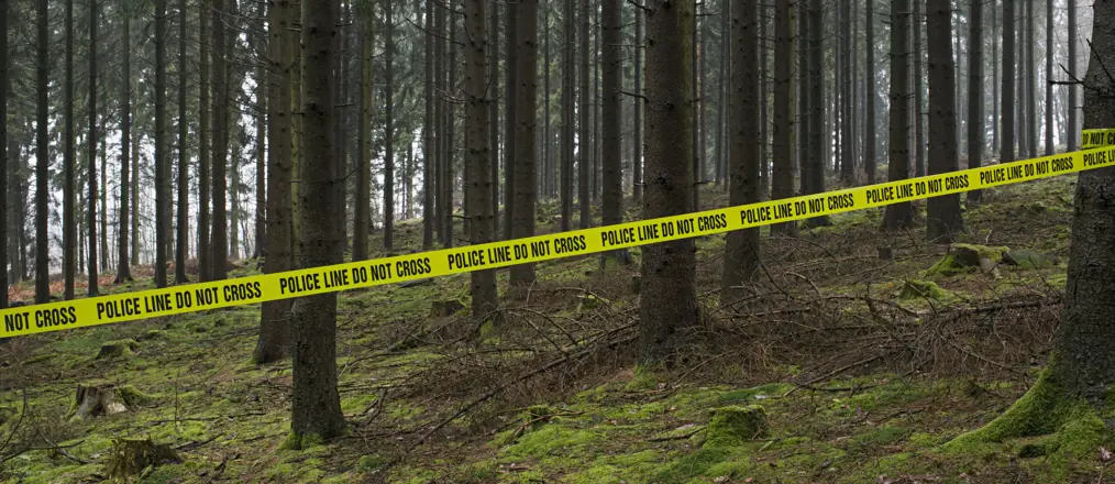 Police issue statement amid growing fears of 'New England Serial Killer' as 12th body is found in 4 months