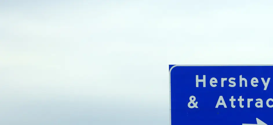 Heartbreaking tribute is paid to girl, 9, who died in tragic Hersheypark incident: 'Full of promise, innocence, and joy'