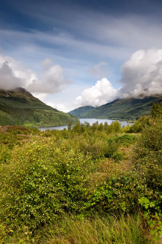 The group visited Loch Eck on the trip. Credit: Wayne Hutchinson/Farm Images/Universal Images Group via Getty Images