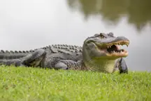 GettyImages-687491892.jpg