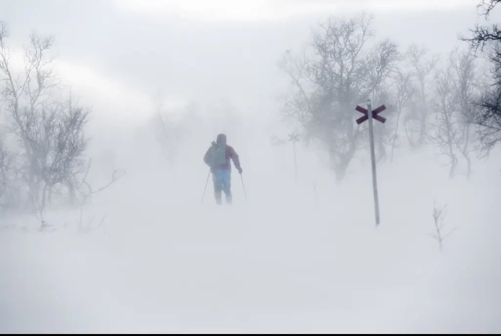 A 22-year-old YouTuber tragically died in a freak snowstorm. (stock image) Credit: Johner Images / Getty