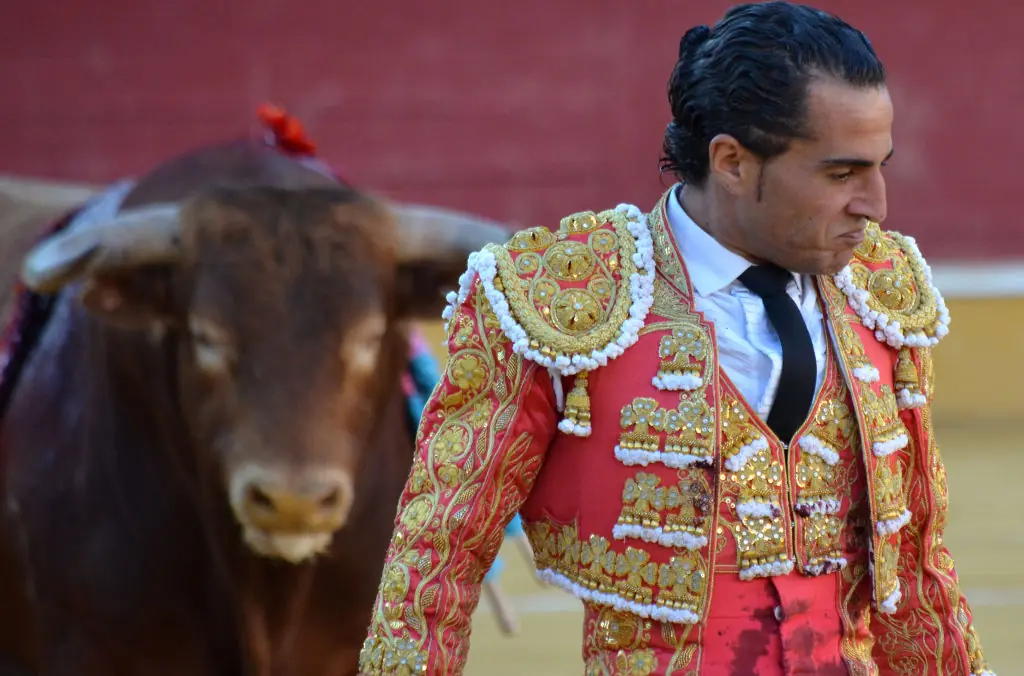 The famed bullfighter was killed after becoming caught on his cape. Credit: Jorge Sanz/Pacific Press/LightRocket via Getty Images