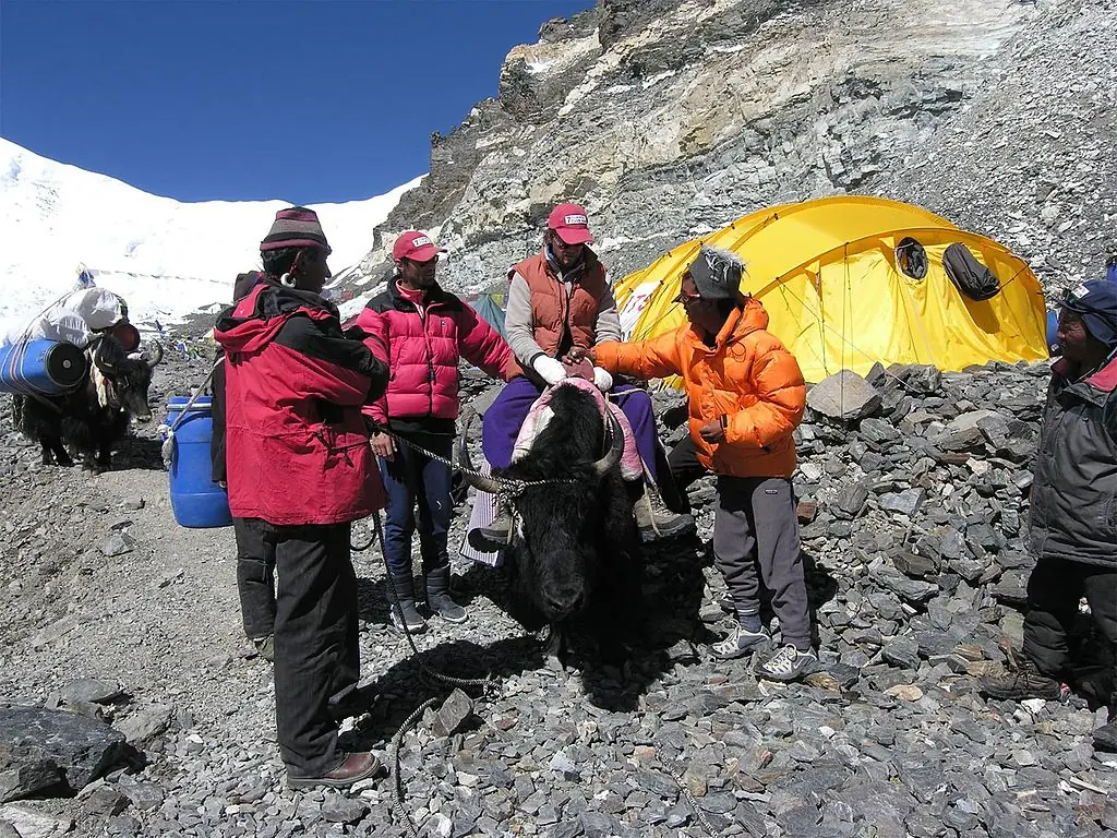 Hall was helped back to his base camp by sherpas. Credit:  Jamie McGuinness/Project-Himalaya.com via Getty Images 