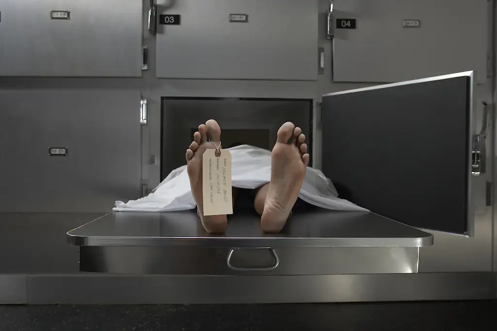 The process and speed of decomposition can vary greatly. Credit: Darrin Klimek / Getty Images