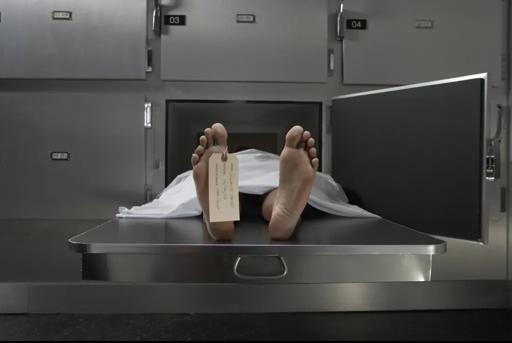 Mortician reveals brutal truth of what really happens to your body after you die
