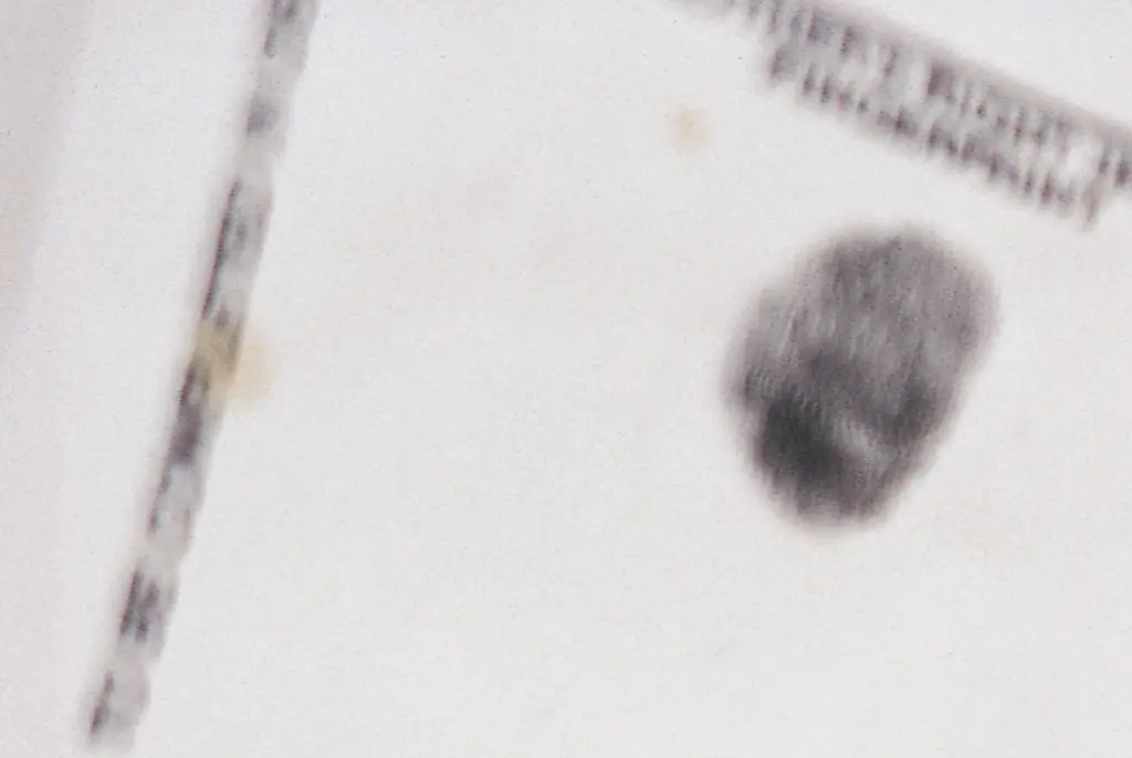 Influencer left in tears over backlash to baby's 'different' name