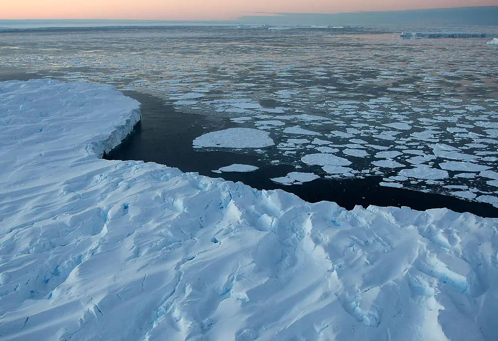 Sir Attenborough said by 2030, the Arctic will start to suffer from ice-free summers. Credit: Pool / Getty
