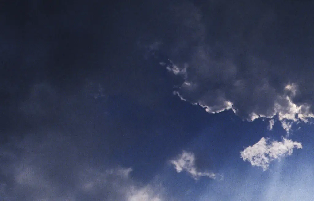 Woman who 'died and came back to life after 11 minutes' shares what she saw