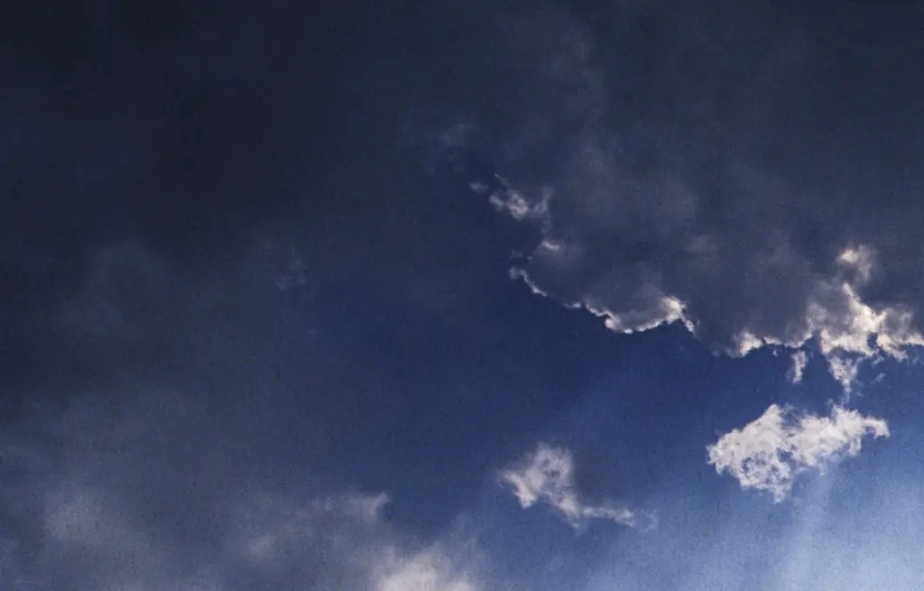 Woman who 'died and came back to life after 11 minutes' shares what she saw