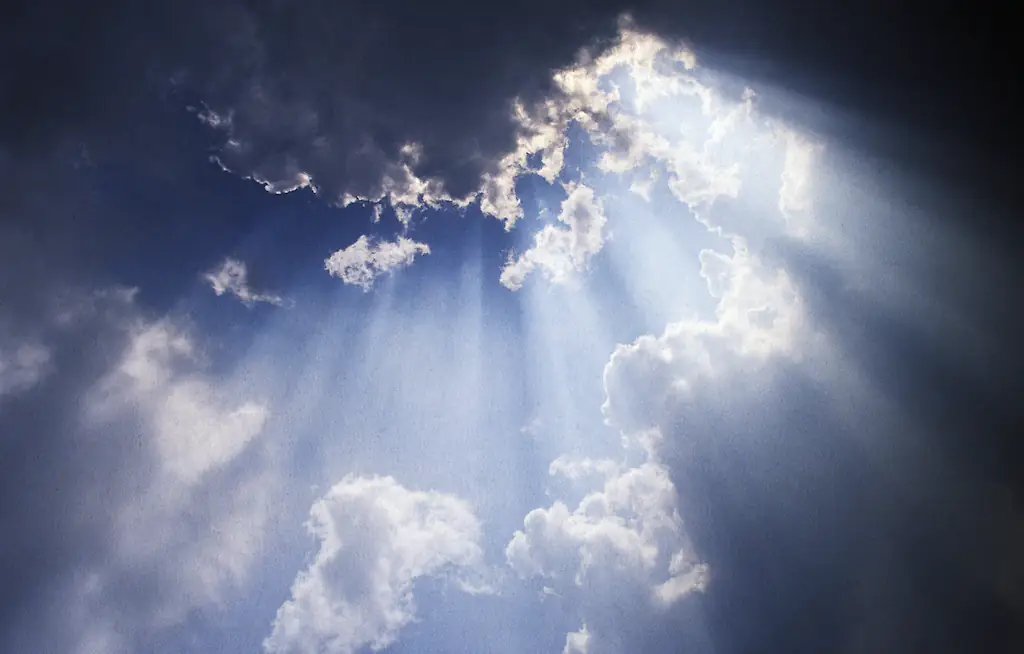 Credit: Andrew Holt / Getty Images.