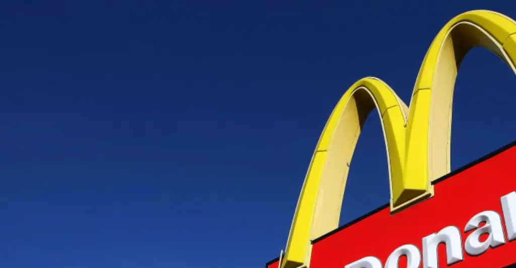 Woman who holds world record for sleeping with 919 men in one day was so bored during the feat that she ordered a McDonald's