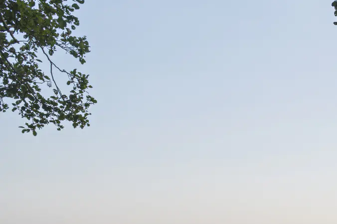 Las Vegas veterinarian who was filmed kicking horse in the face is found dead in lake weeks after disappearing