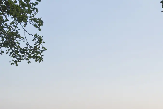 Las Vegas veterinarian who was filmed kicking horse in the face is found dead in lake weeks after disappearing