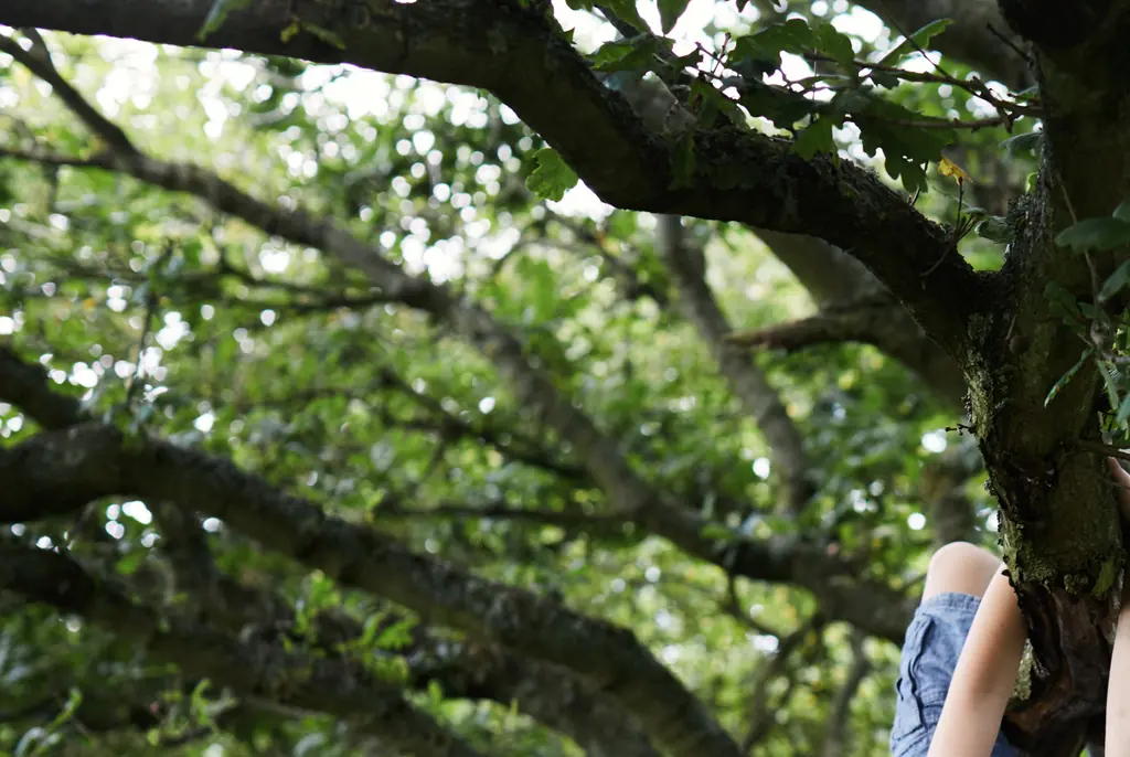 Parents left divided over popular saying that 'excuses bad behavior' from young boys