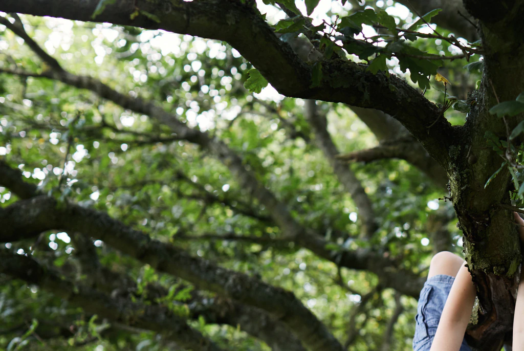 Parents left divided over popular saying that 'excuses bad behavior' from young boys