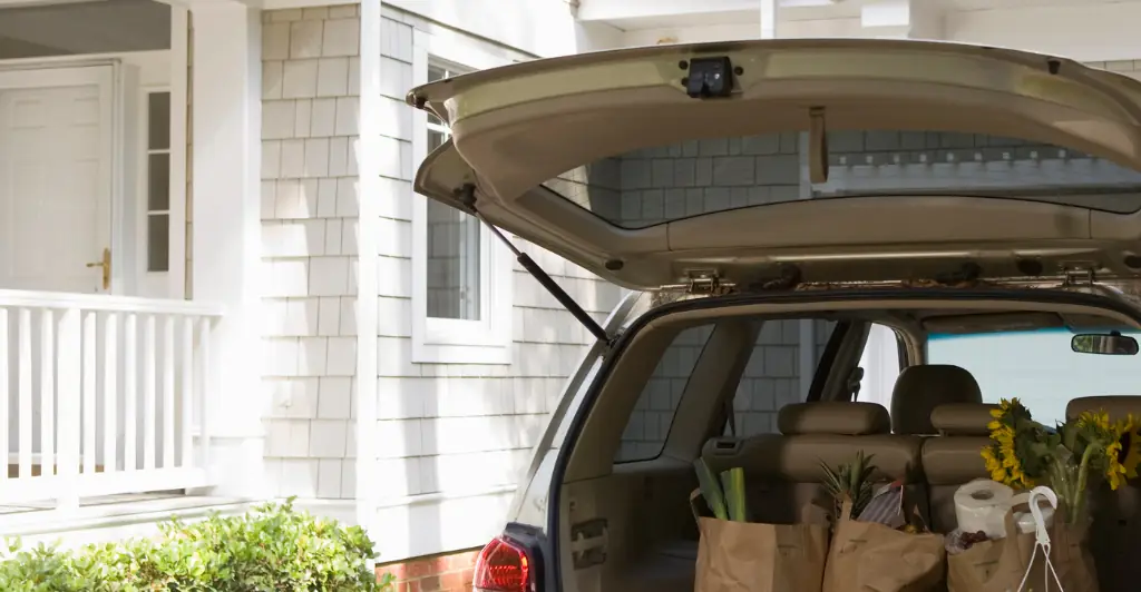 'Bloodcurdling screams' heard as 10-year-old dies after getting trapped in car trunk