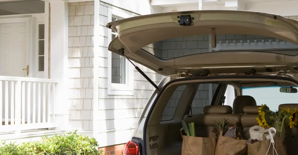 'Bloodcurdling screams' heard as 10-year-old dies after getting trapped in car trunk