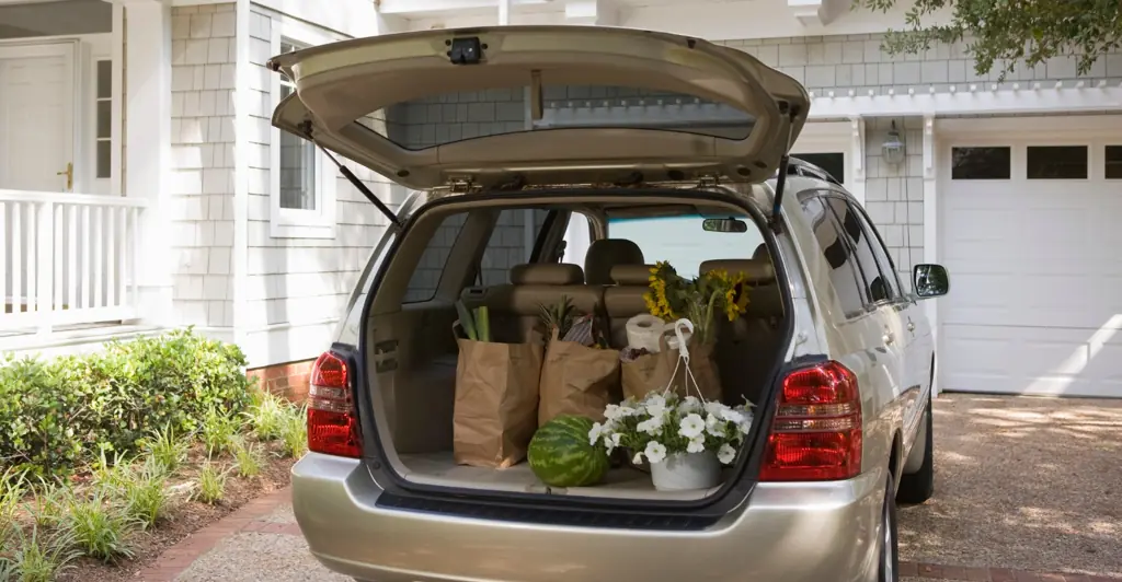 'Bloodcurdling screams' heard as 10-year-old dies after getting trapped in car trunk