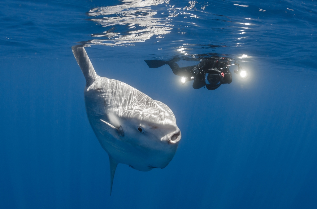 GettyImages-870661204.jpg