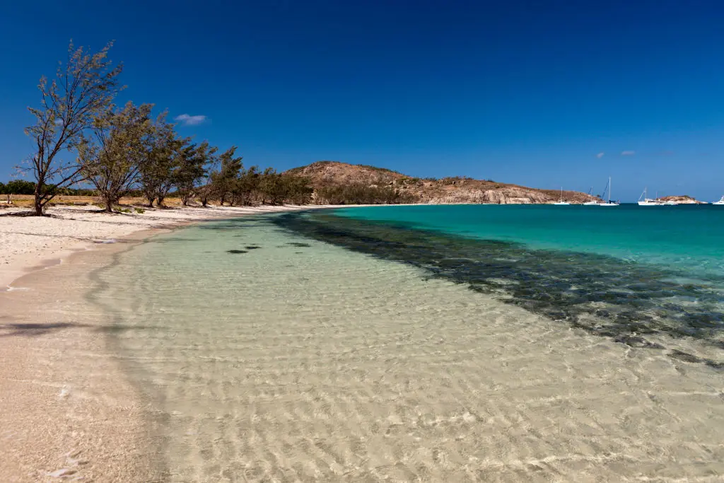 Rees sadly died on the island after being unaccounted for. Credit: ullstein bild / Getty