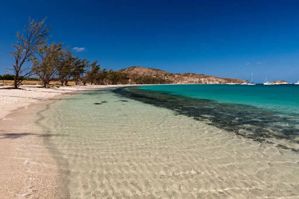 Rees sadly died on the island. Credit: ullstein bild / Getty