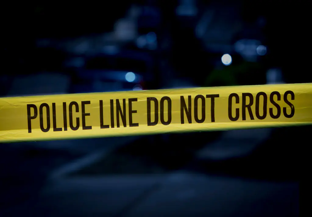 Arizona teens found dead in remote section of national forest