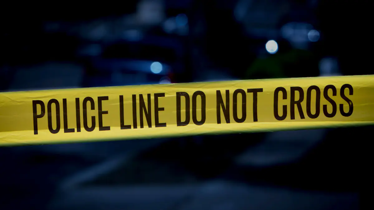 Arizona teens found dead in remote section of national forest