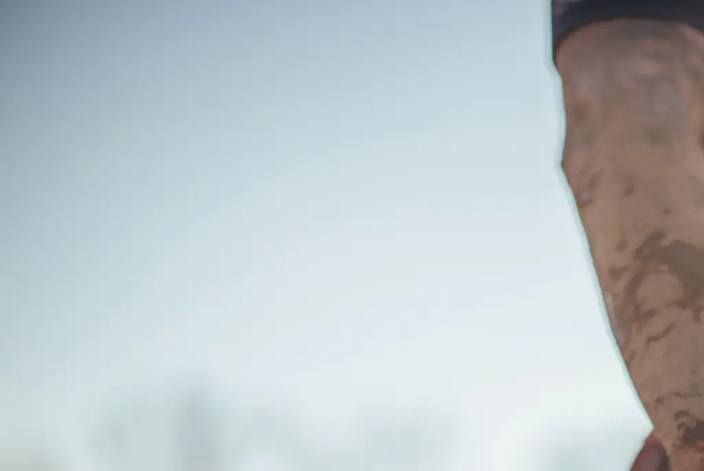 Neuroscientist issues urgent warning after teenager dies while playing controversial new contact sport