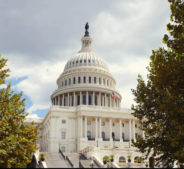 Credit: Rafa Elias / Getty