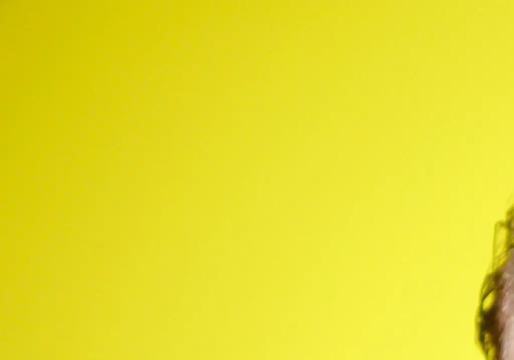 What happened to Morgan Spurlock after he ate only McDonald's for 30 days straight - and big lie he kept secret from viewers