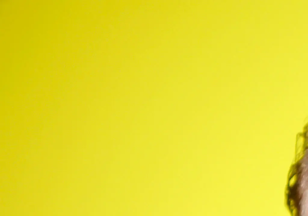 What happened to Morgan Spurlock after he ate only McDonald's for 30 days straight - and big lie he kept secret from viewers