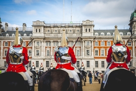 Video shows American tourist begging for help as King's Guard horse suddenly lashes out