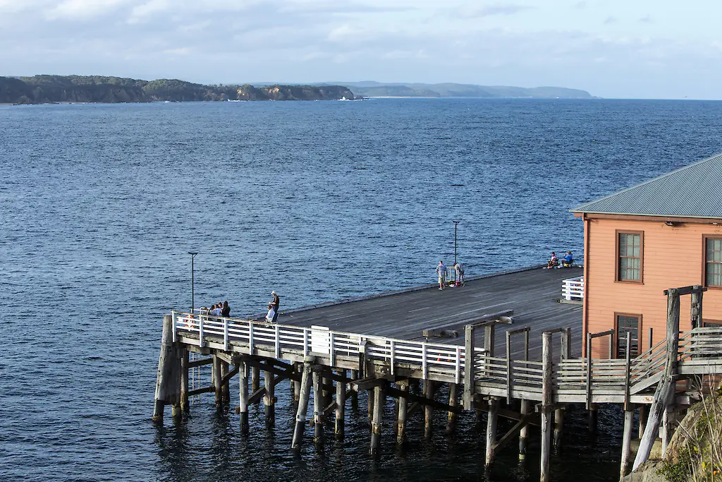 The group was heading from Tathra Wharf to Tathra Beach in New South Wales. Credit: Oliver Strewe / Getty
