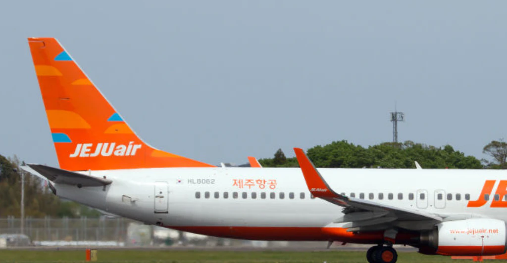 Second plane from same airline that  crashed, killing 179, is forced to make emergency landing amid 'landing gear issues'