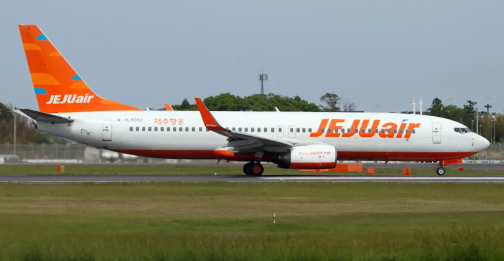 Second plane from same airline that  crashed, killing 179, is forced to make emergency landing amid 'landing gear issues'